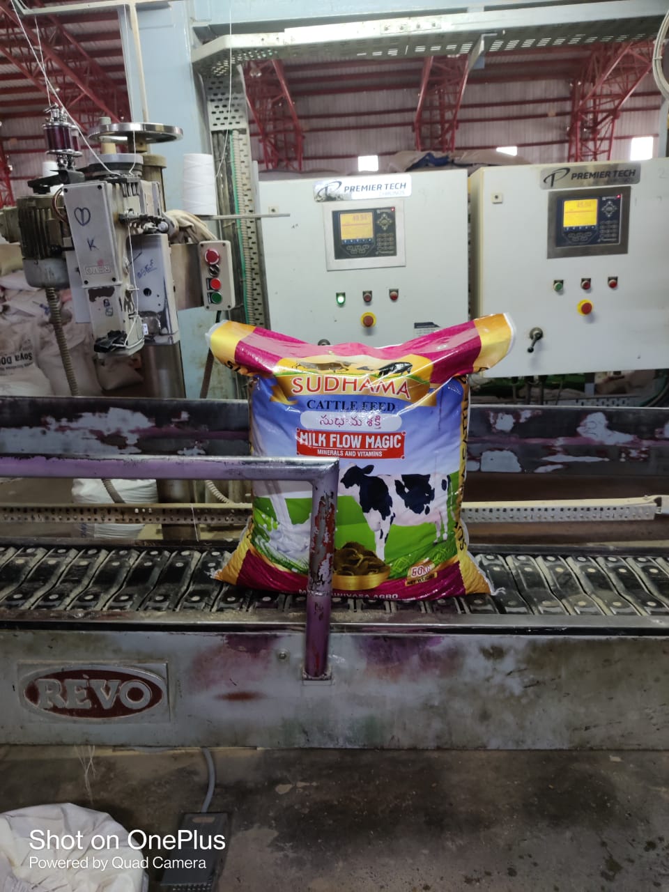 cow feed